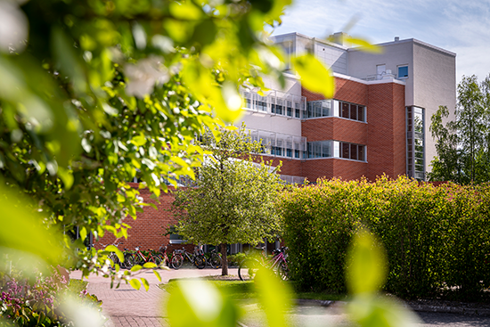 Lapin yliopiston päärakennuskesämaisemassa.