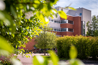 Lapin yliopiston päärakennuskesämaisemassa.