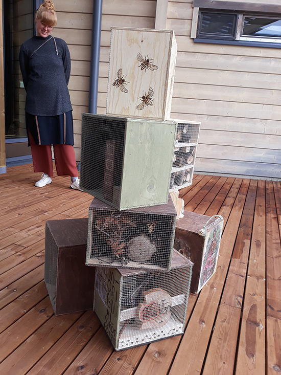 Kesälukio kuva 2 web.jpg