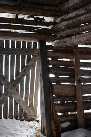 Johannes Koivuluoma: Kurre hirrellä