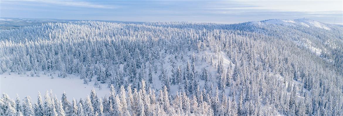 Indigenous Digital Storytelling with New Media