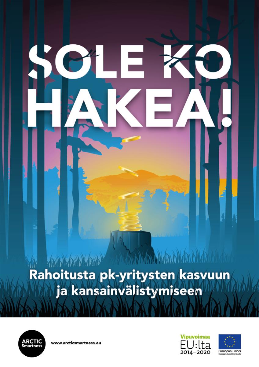 Sole_ko_hakea_rahoitusopas_kansi2.jpg
