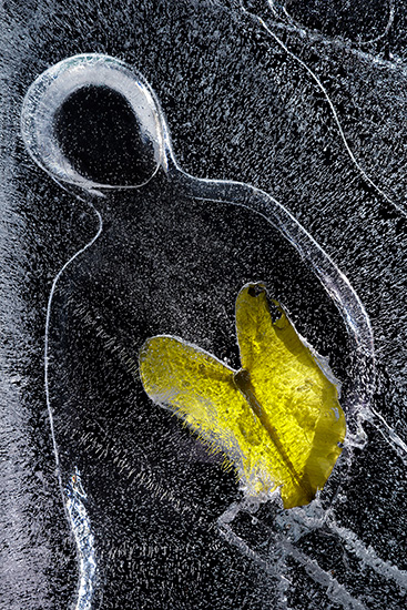 550x367 I.1._Sydämeni on kevyt kuin perhonen_Hannu Ahonen-sarja-vapaa ja luova.jpg