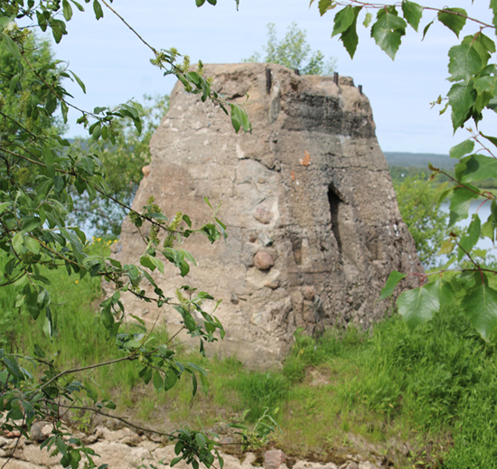 Kuva 2_Monica Tennberg_betonimurikka Arktikumin puutarhassa.jpg