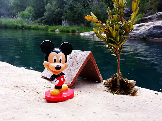 Suvi Aution A.C.A.M.P.A.-näyttely