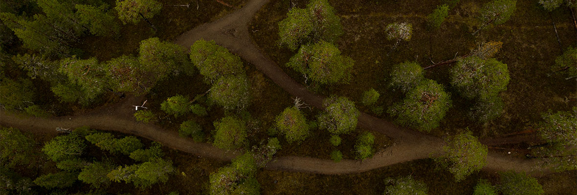 Kestävät luontokulttuuri ja monilajinen tulevaisuus -tutkimusyhteisön sivulle