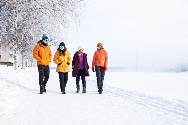 Study in Lapland_web.jpg