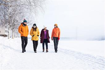 Study in Lapland_web.jpg