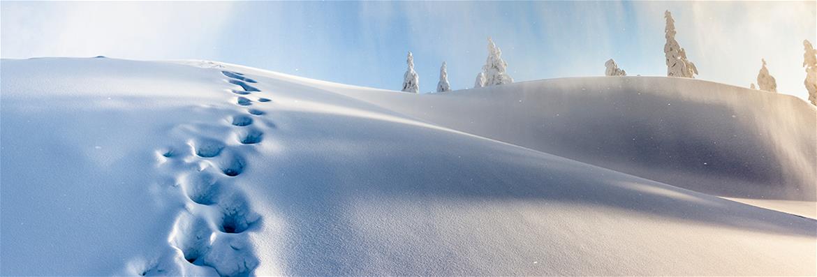  TOMU – Toimintaympäristön muutoksen johtaminen