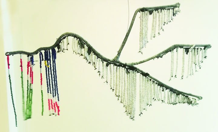 PARTY-Kalahari-Taanyanda Matheus.jpg