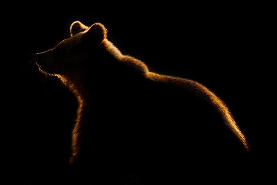 Säteiden maalaama-Arto Ketola-550x367.jpg