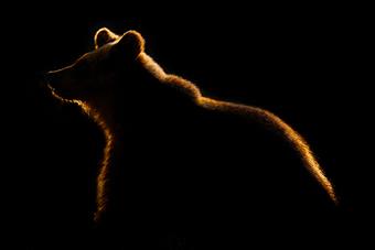 Säteiden maalaama-Arto Ketola-550x367.jpg