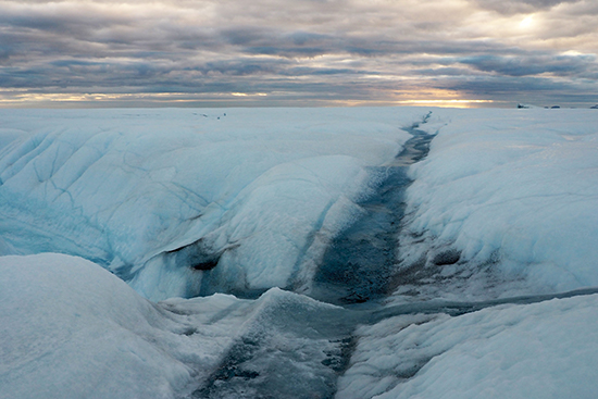 30.11. Photo Lauren Candlish 3 550x367.jpg