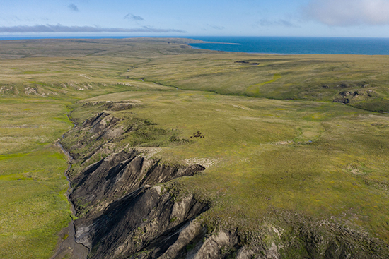 A greening Tundra landscape on Qikiqtaruk-Herschel Island-Canadian Arctic_credit_Jeffrey Kerby_National Geographic Society-www.jpg