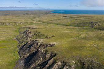 A greening Tundra landscape on Qikiqtaruk-Herschel Island-Canadian Arctic_credit_Jeffrey Kerby_National Geographic Society-www.jpg