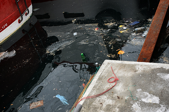 Plastic and other litter floating in water. 