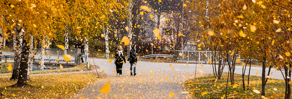 Opetus- ja kasvatusalan täydennyskoulutusyksikön kotisivulle