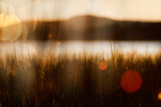 Irma Varrio Kuusamo Nature Photo -tapahtumassa