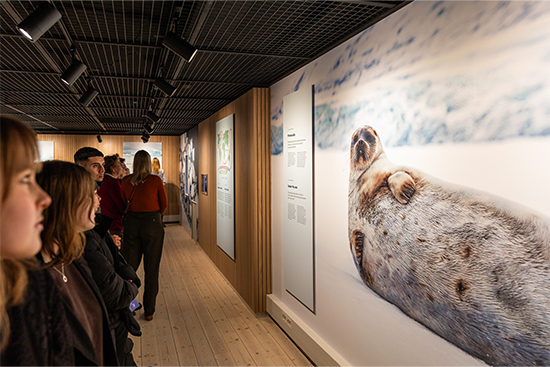 Vastakohtien Arktis -näyttely Arktikumissa