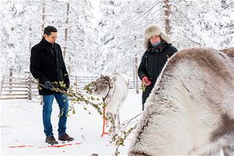 José-Carlos García-Rosell ja Miia Ylinampa poroaitauksessa talvisessa maisemassa.