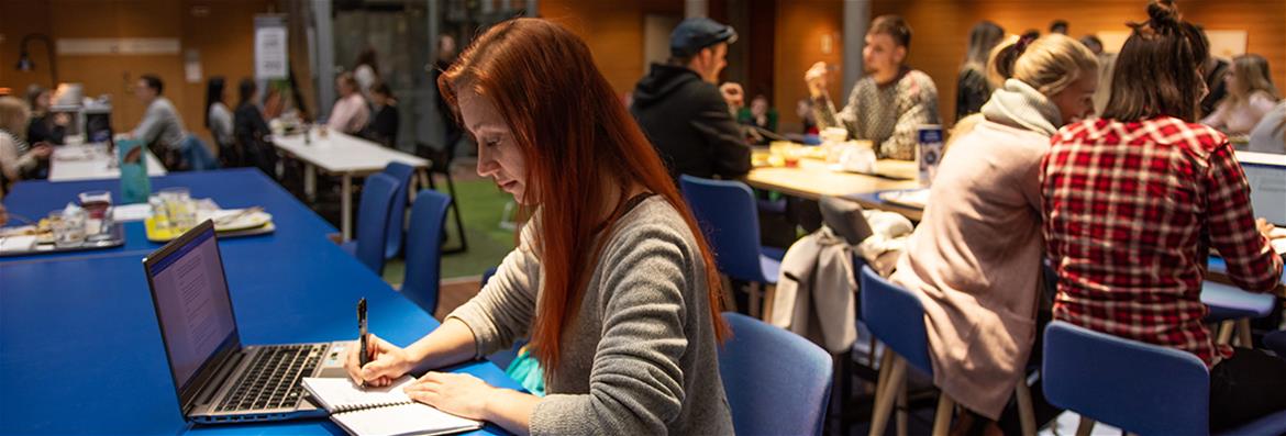 Hyvinvointi, työ ja kansalaisuus