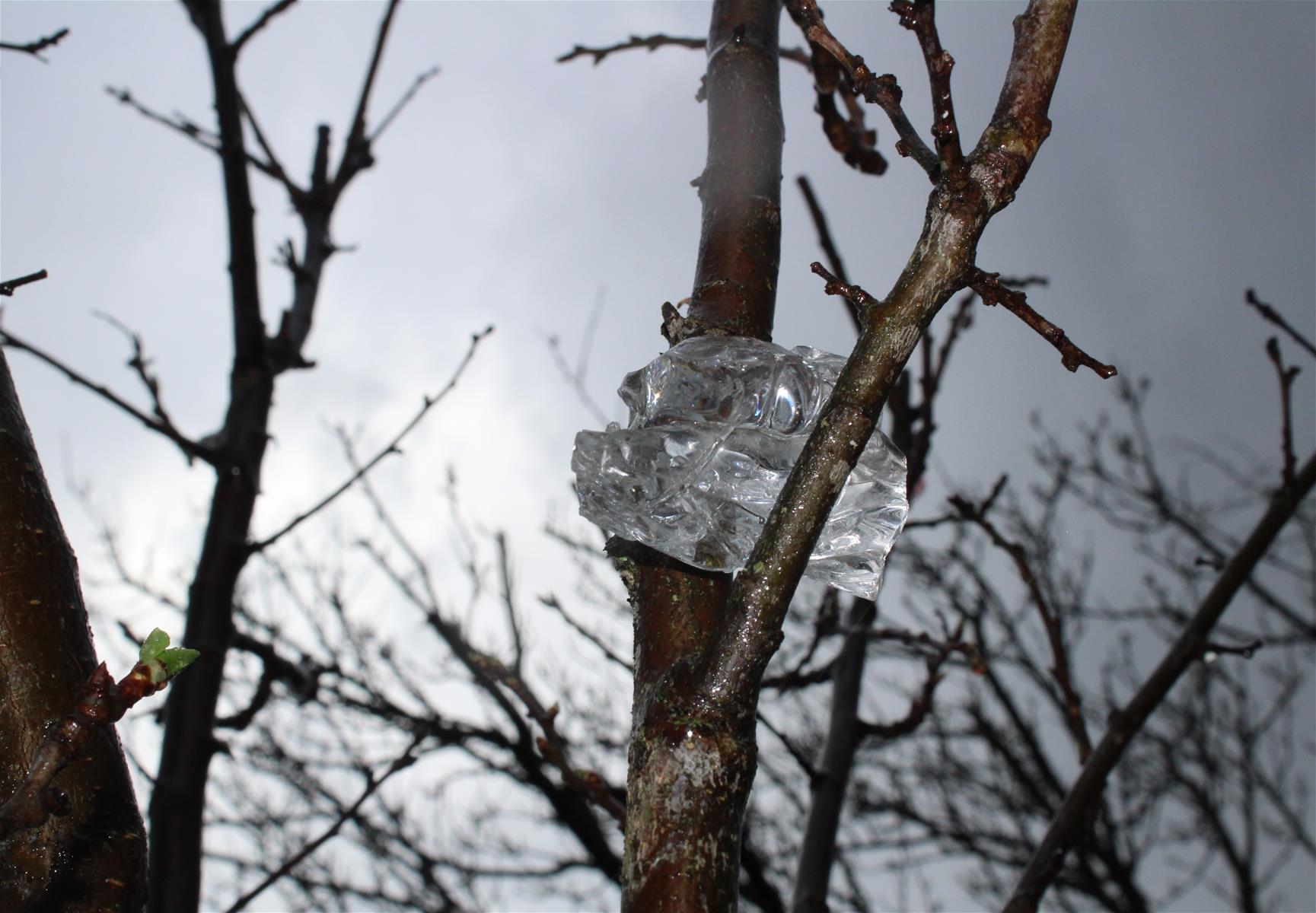 CR_Magdalena_Novotna_HOME_GLASS _SHARING_BEAUTY5.jpg