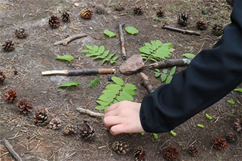 Kuvituskuva_KEMU Boost-hanke.png