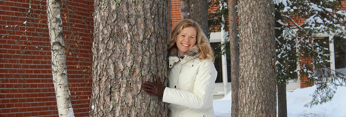 Linkki Sarin tarinaan opiskelusta avoimessa yliopistossa