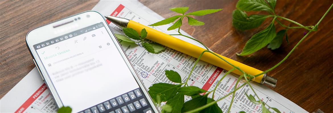 Hankerahoituksen palvelut