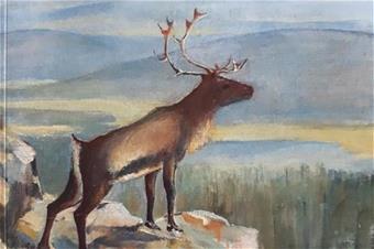 Maija Kellokumpu -kirjan kansikuva.jpg