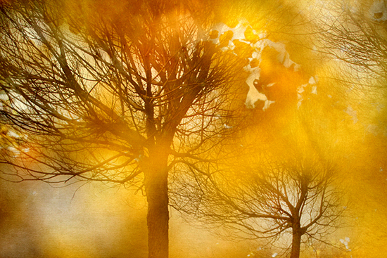 Irma Varrio Kuusamo Nature Photo -tapahtumassaKNP_Varrio_kuva1_WEB.jpg