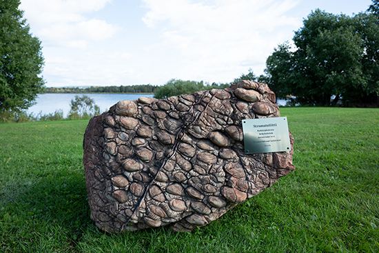 Kivinäyttely_Arktikum puutarha_stromatoliitti.jpg