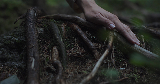 Kuva Kristiina Koskisen lyhytelokuvasta Metsän määritelmä. KUvassa puiden juuria, joista yhden päällä ihmisen kämmen.