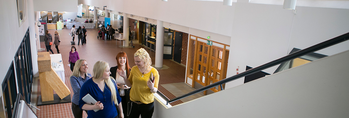 Avoimen yliopiston kotisivulle