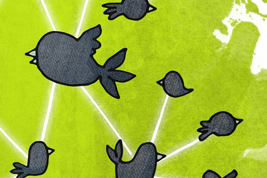 lapintno_web (003).jpg