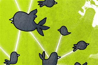 lapintno_web (003).jpg