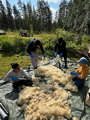 Felting in Akaslompolo_Kuva-Dorsa-Abolfazli_2024_300x400px.jpg