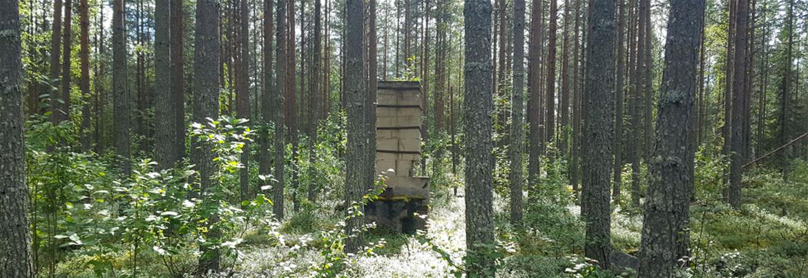 Hitaan ajattelun matkustavat laboratoriot