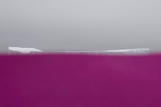 Ideas in Things_web.jpg