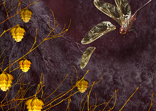 Leena Raappana-Luiro: The Last Day of September. 2016. Skannaus, Photoshop. 44 x 60 cm