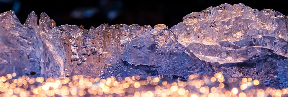 Arktinen yliopistoverkosto UArctic