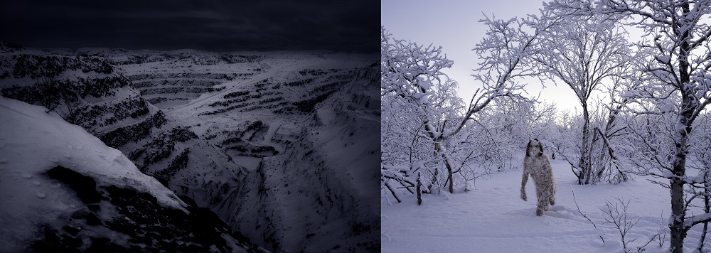 Kuva 1_marja helander_Hamaran_salaisuudet.jpg