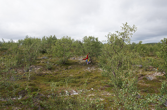 Kesälukio kuva 3 web.jpg