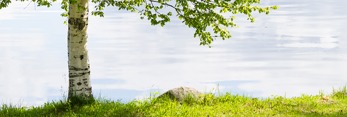 Kestävä kehitys Lapin yliopistossa -sivulle