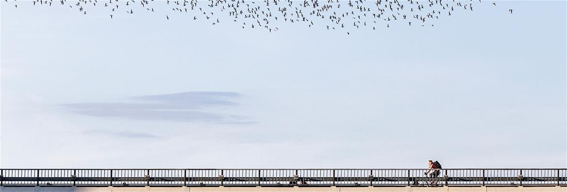 Arctic World Politics 