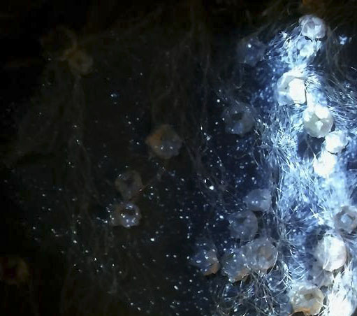 Weather traveler. Kuva: Pauliina Heiskanen