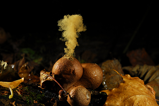 Juan Carlos Claros Cruz: Uusi alku