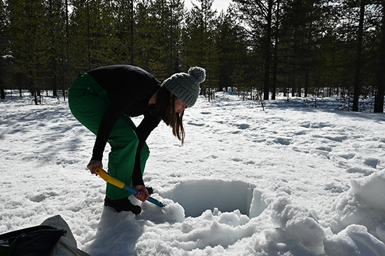 Henkilö kaivaa lapiolla kuoppaa lumeen.