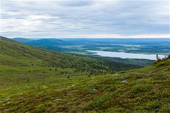 Puuton tunturimaisema, jossa näkyy myös poroaita.